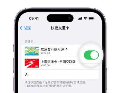 龙井apple维修点分享iPhone上更换Apple Pay快捷交通卡手绘卡面 