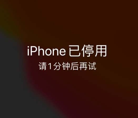 龙井苹果手机维修分享:iPhone 显示“不可用”或“已停用”怎么办？还能保留数据吗？ 