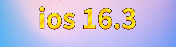 龙井苹果服务网点分享苹果iOS16.3升级反馈汇总 