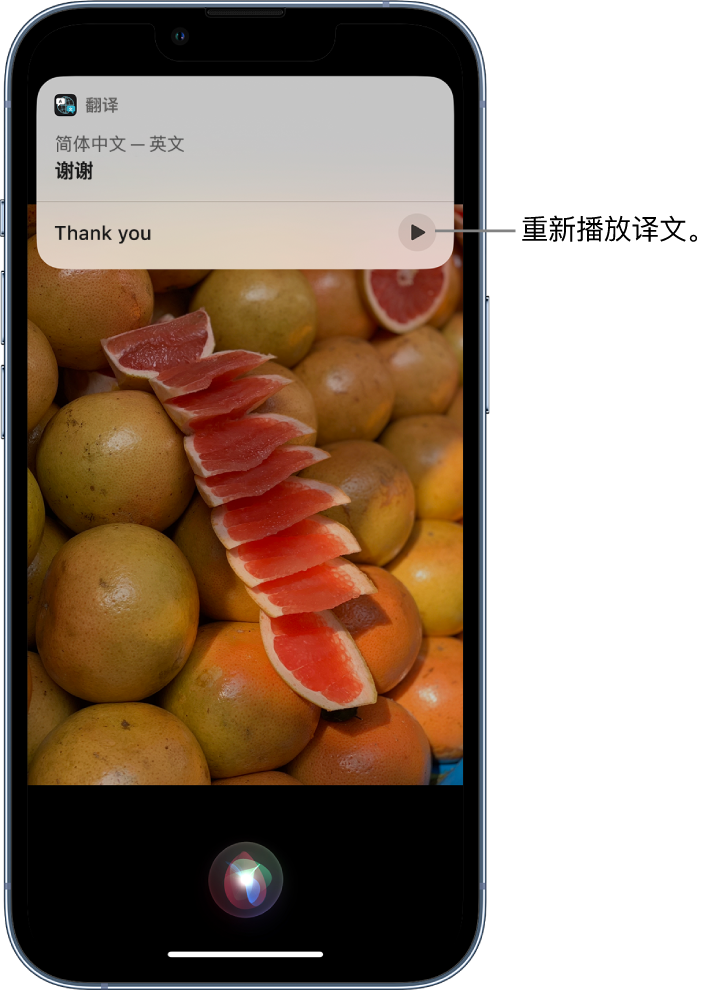 龙井苹果14维修分享 iPhone 14 机型中使用 Siri：了解 Siri 能帮你做什么 