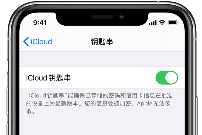 龙井苹果手机维修分享在 iPhone 上开启 iCloud 钥匙串之后会储存哪些信息 