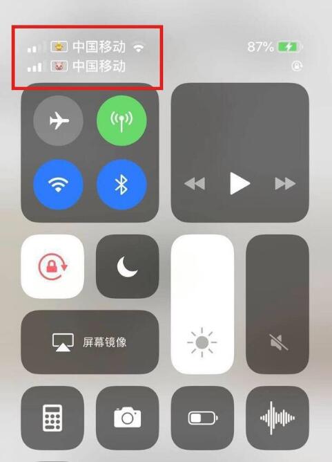 龙井苹果手机维修分享为 iPhone 12 双卡设置标签 
