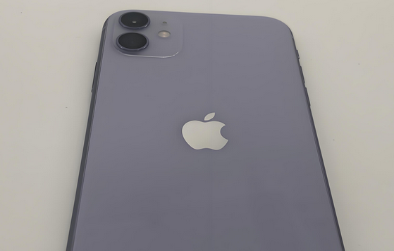 龙井苹果11系统维修分享iPhone11手机系统崩溃无法开机如何解决 
